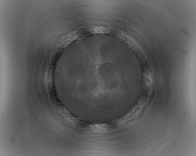 X0000113620422200909181444