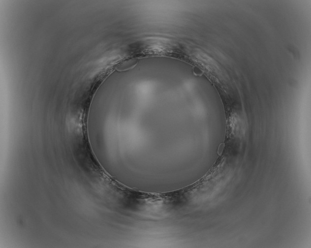 X0000113620423200909181444