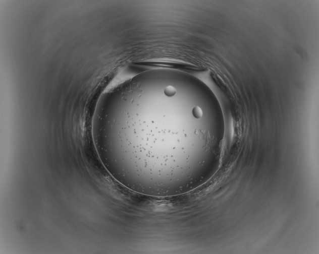 X0000113620424200909181444