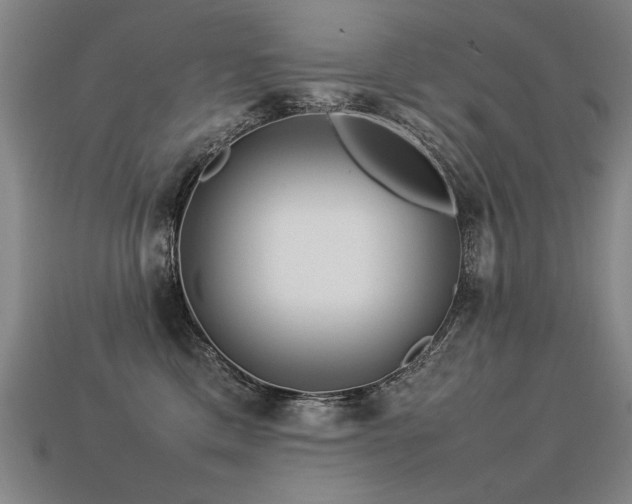 X0000113620425200909181443