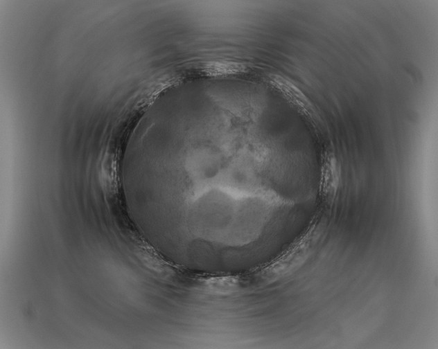 X0000113620426200909181443