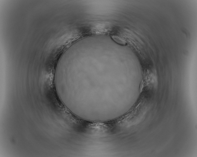 X0000113620427200909181443