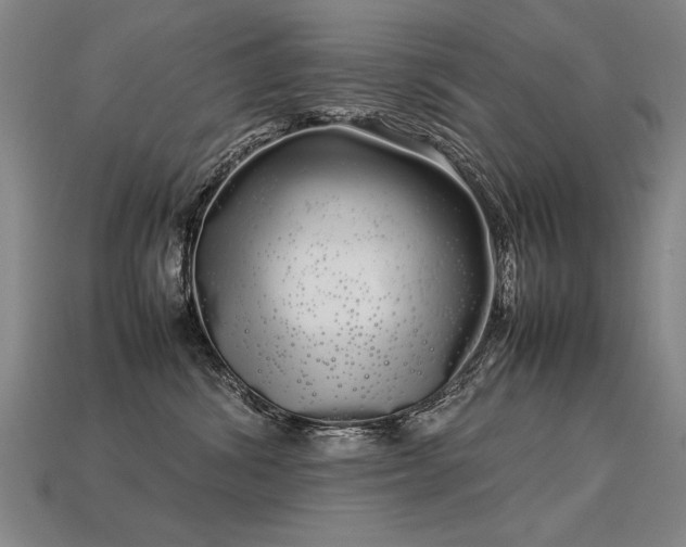 X0000113620428200909181443