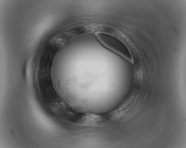 X0000113620429200909181443