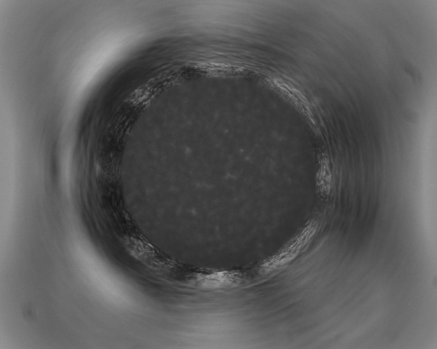 X0000113620430200909181443