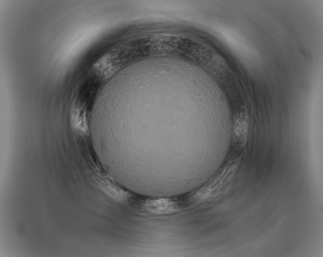 X0000113620431200909181443