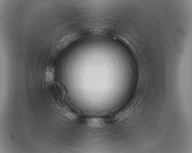 X0000113620432200909181443