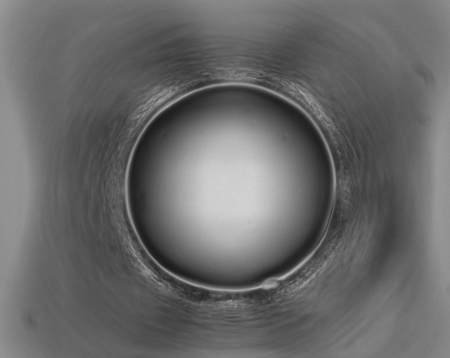 X0000113620433200909181443