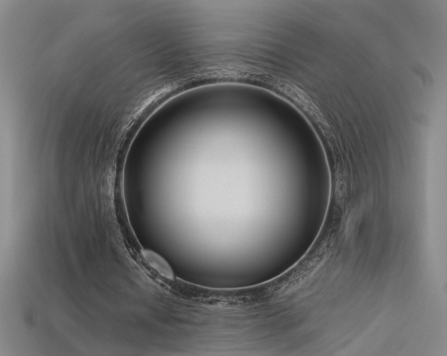 X0000113620434200909181443