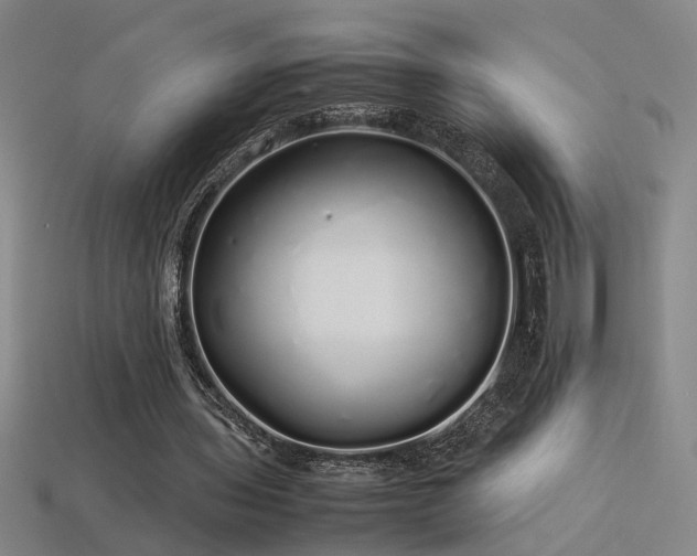 X0000113620435200909181443