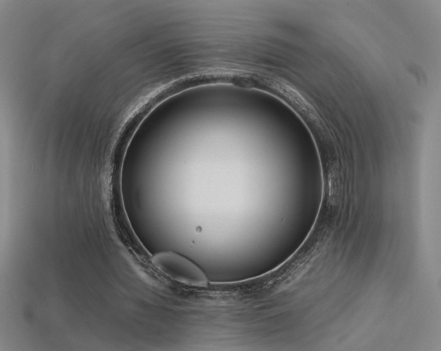 X0000113620436200909181443