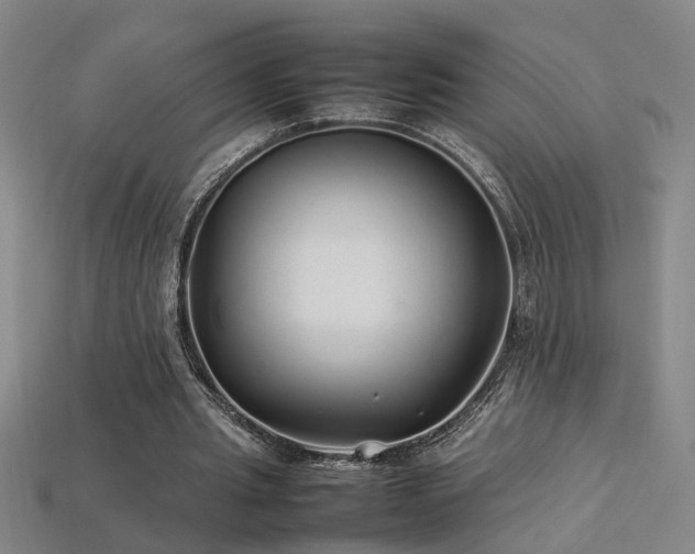 X0000113620437200909181443