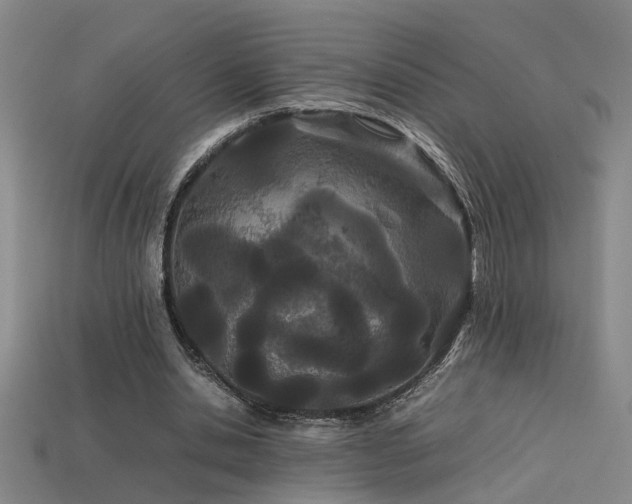 X0000113620438200909181443