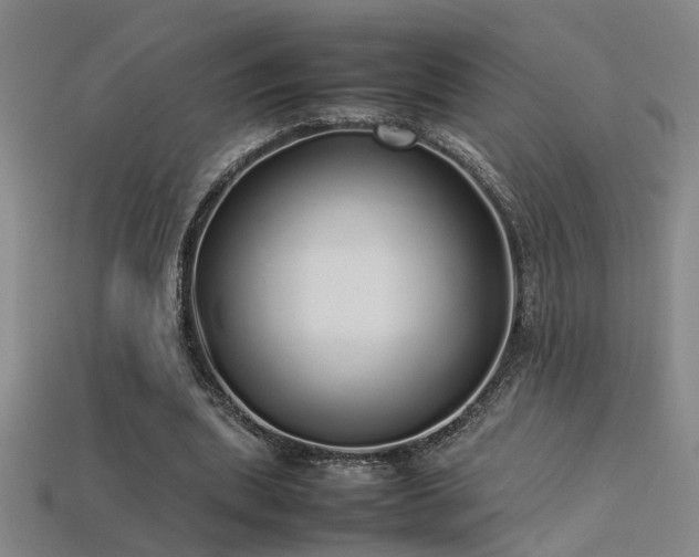 X0000113620439200909181443