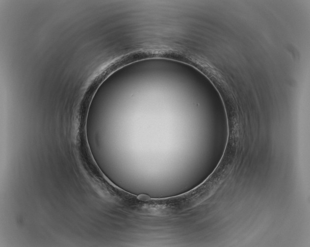 X0000113620440200909181443