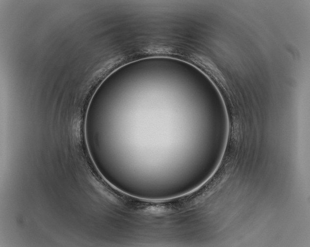 X0000113620441200909181443