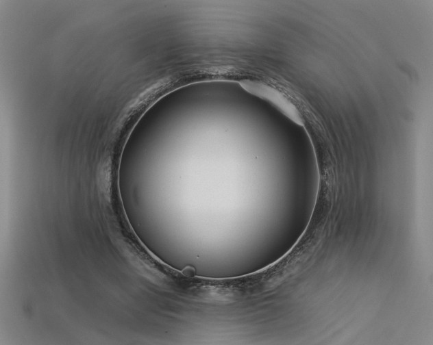 X0000113620442200909181443