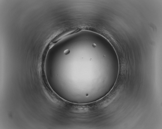 X0000113620443200909181443