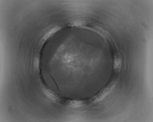 X0000113620444200909181443