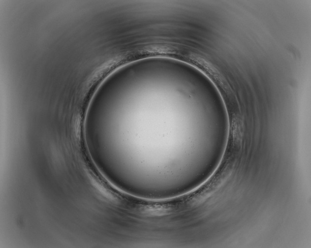 X0000113620445200909181443