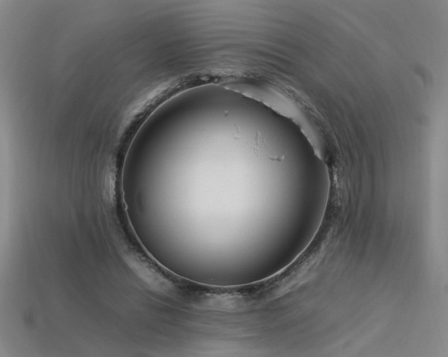 X0000113620446200909181443