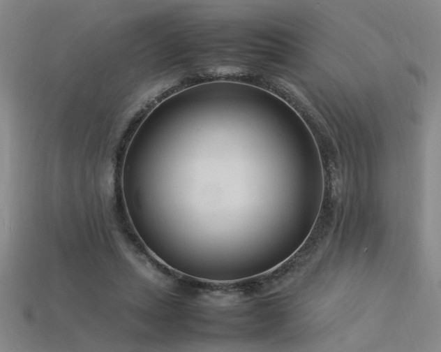 X0000113620447200909181443