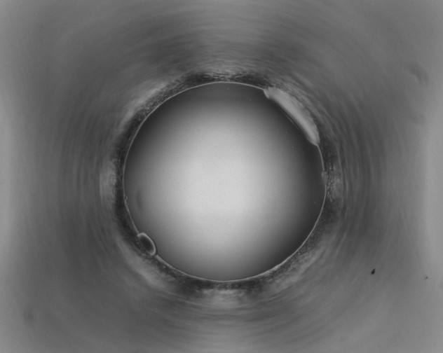 X0000113620448200909181443