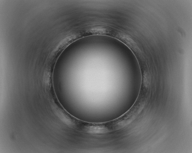 X0000113620449200909181443