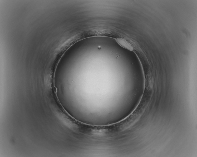 X0000113620450200909181443