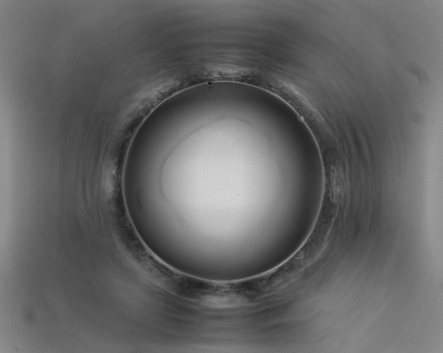 X0000113620451200909181443