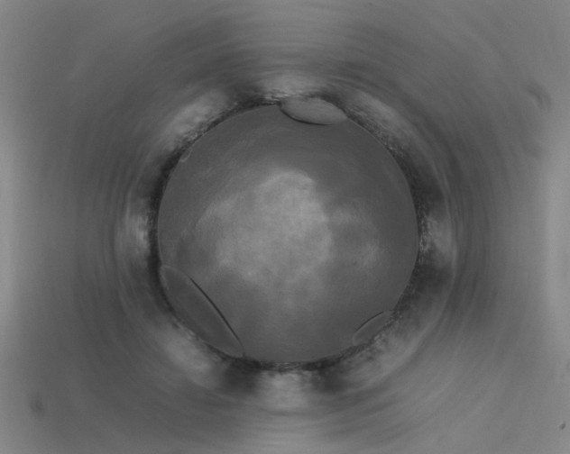 X0000113620452200909181443