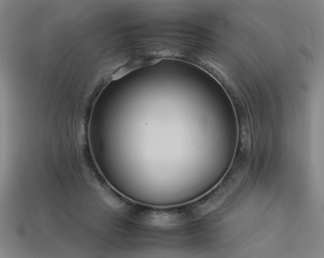 X0000113620453200909181443