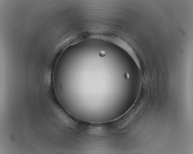 X0000113620454200909181443