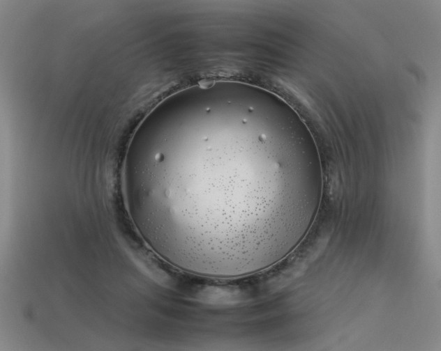 X0000113620455200909181443