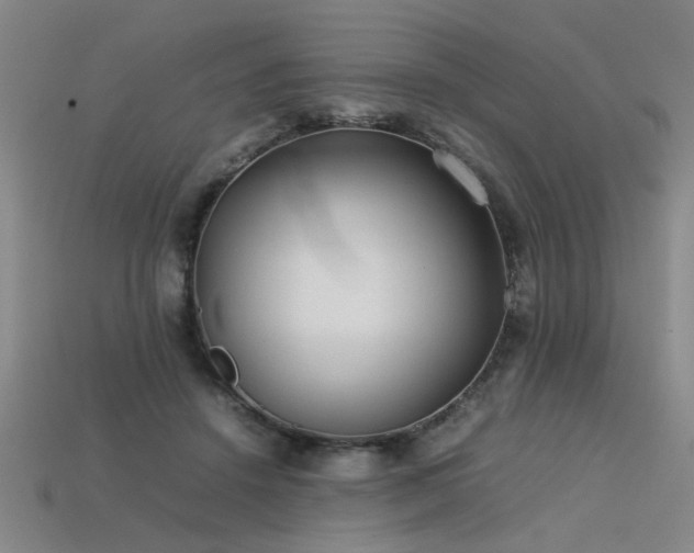 X0000113620456200909181443