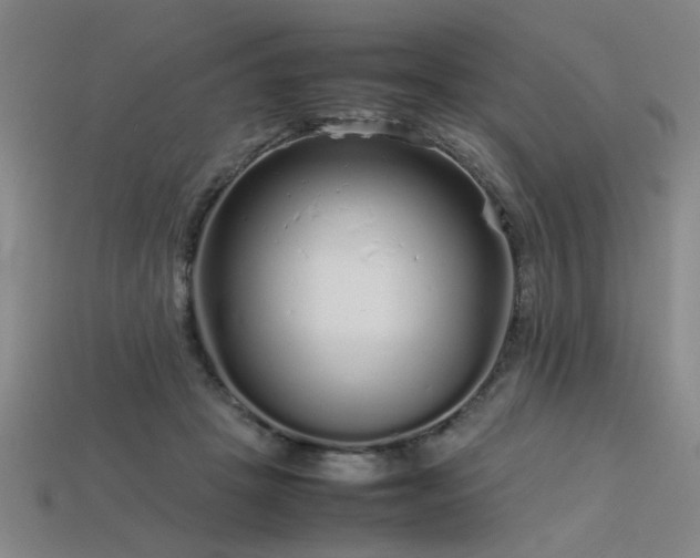 X0000113620457200909181443