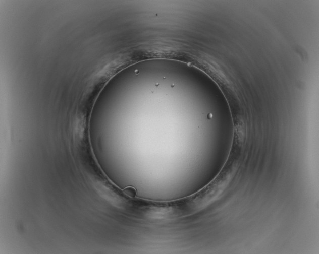 X0000113620458200909181443