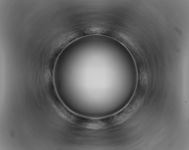 X0000113620459200909181443