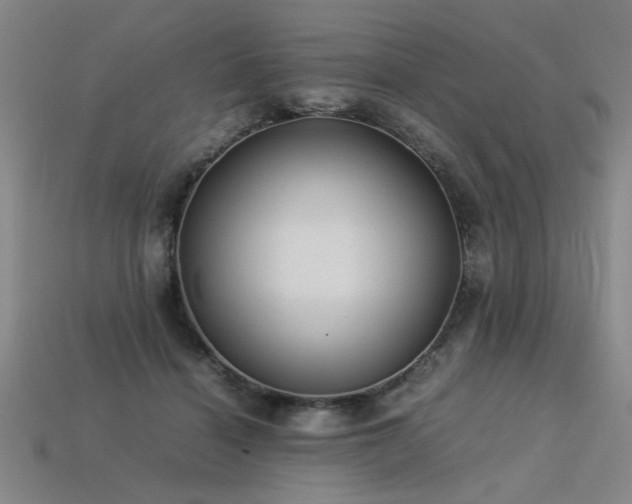 X0000113620460200909181443