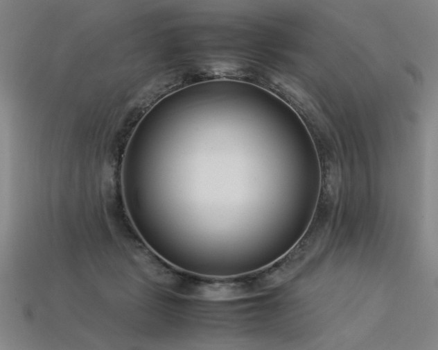 X0000113620461200909181443