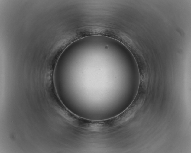 X0000113620462200909181443