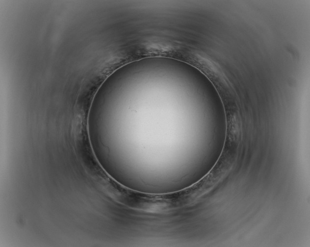 X0000113620463200909181443