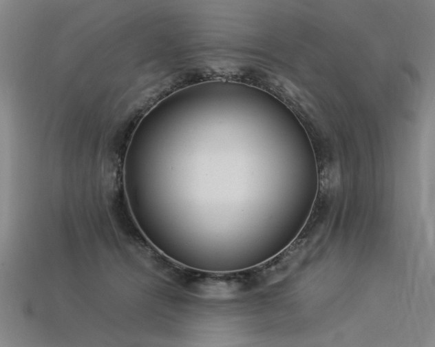 X0000113620464200909181443