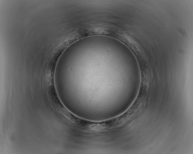 X0000113620465200909181443