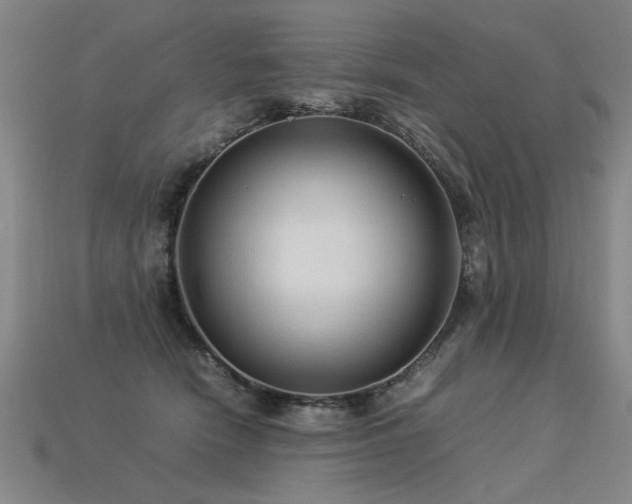 X0000113620466200909181443