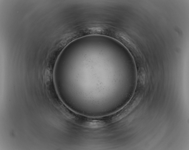 X0000113620467200909181443