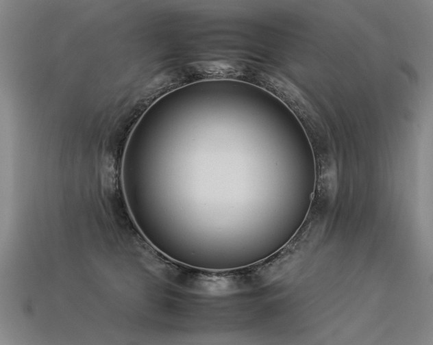 X0000113620469200909181443