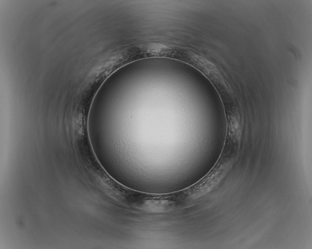 X0000113620470200909181443