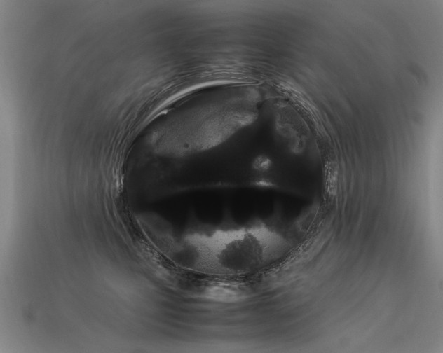 X0000113620471200909181443