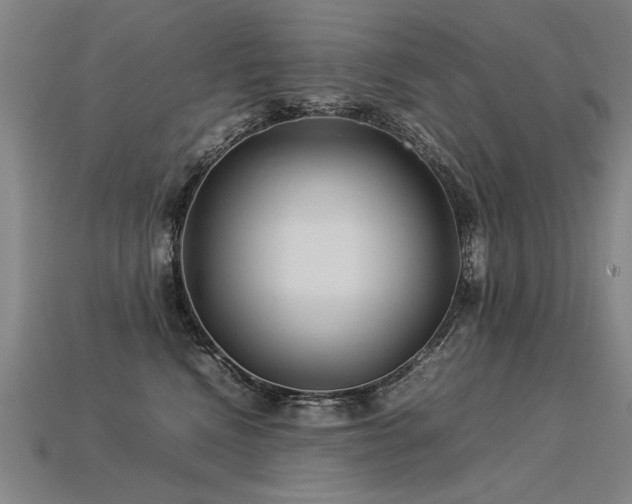 X0000113620472200909181443